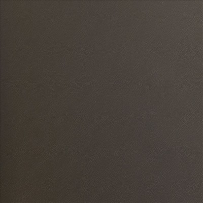 Kasmir TOP TIER         COFFEE          